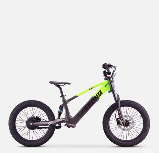 Apollo Sedna SX 20" Green