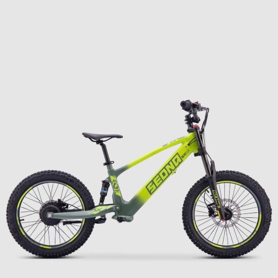Apollo Sedna SX 20" Green