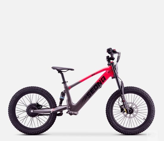 Apollo Sedna SX 20" Red