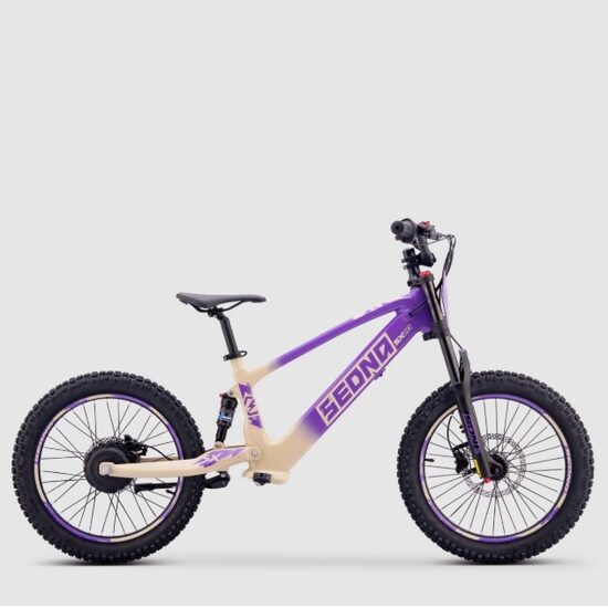 Apollo Sedna SX 20" Violet